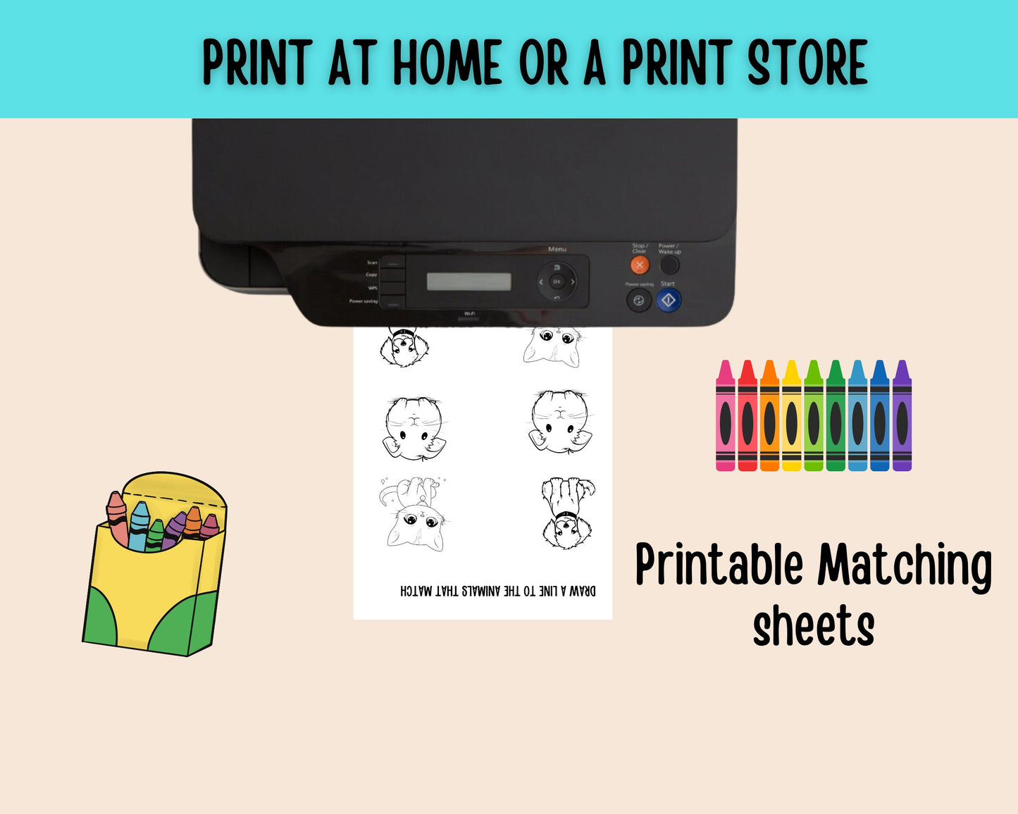 Matching Game Preschool Activities Homeschool activities