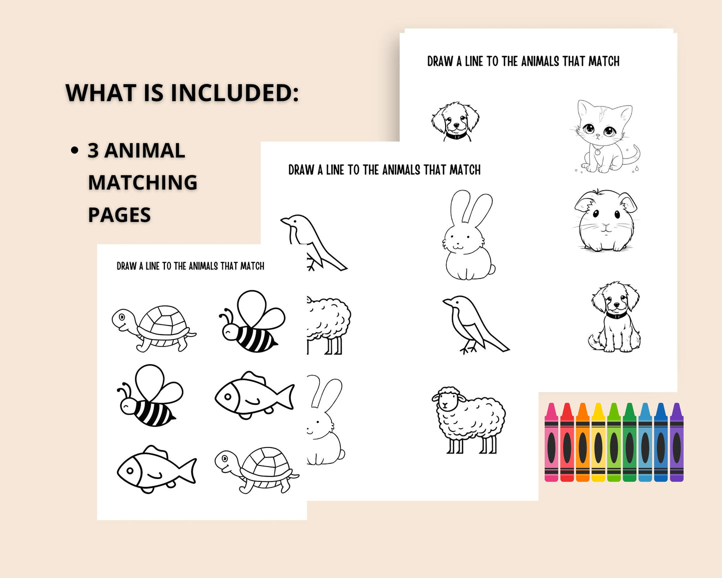 Matching Game Preschool Activities Homeschool activities
