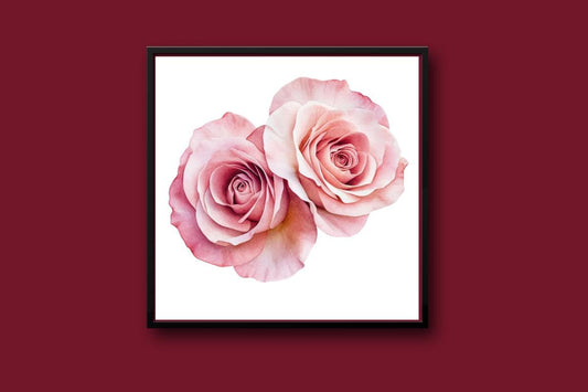 Rose petals Cross stitch pattern